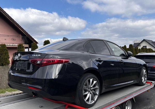 Alfa Romeo Giulia cena 59900 przebieg: 10, rok produkcji 2023 z Wrocław małe 497
